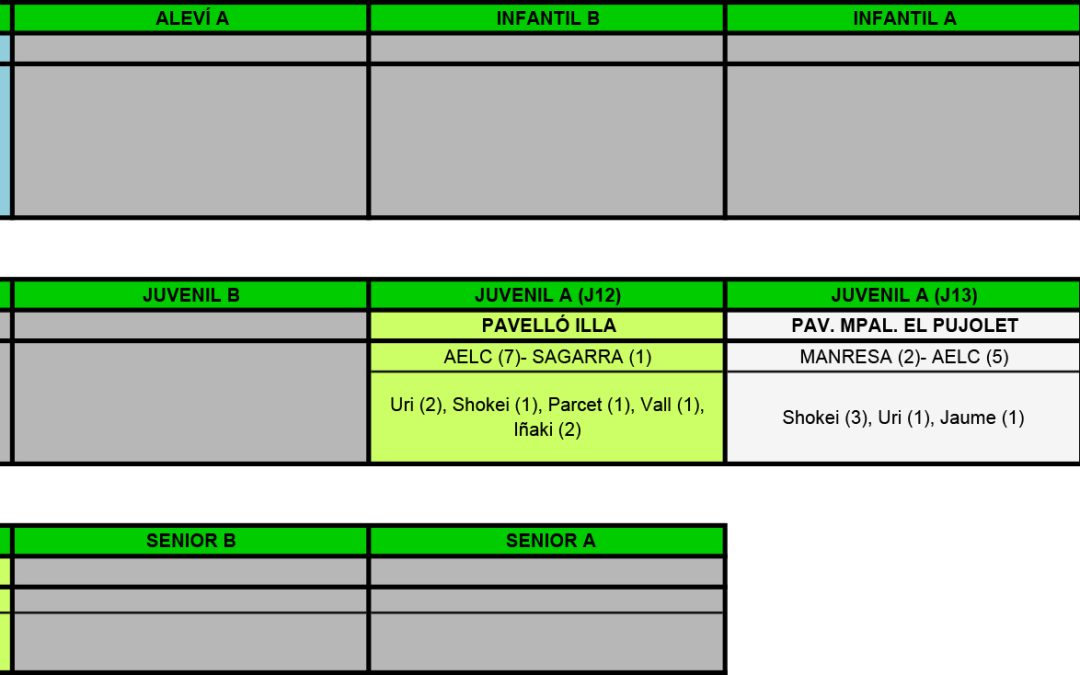 RESULTATS DEL CAP DE SETMANA (06-12-15)