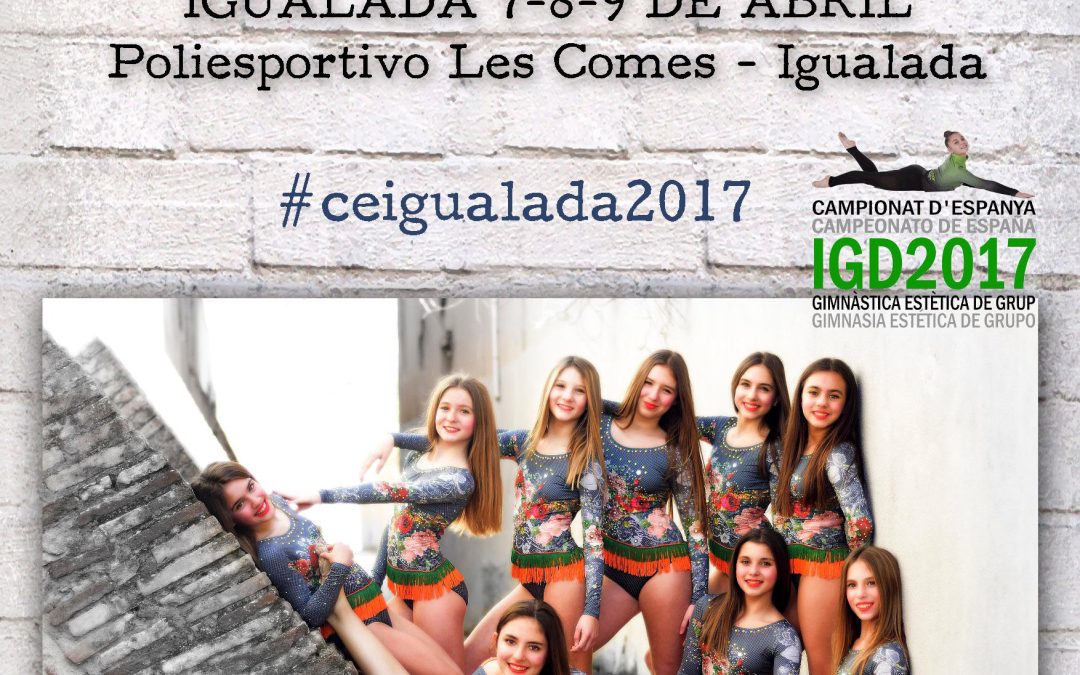 XIII CAMPIONAT D’ESPANYA DE GIMNÀSTICA ESTÈTICA DE GRUP