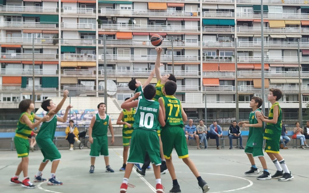 El bàsquet mamut creix i es consolida