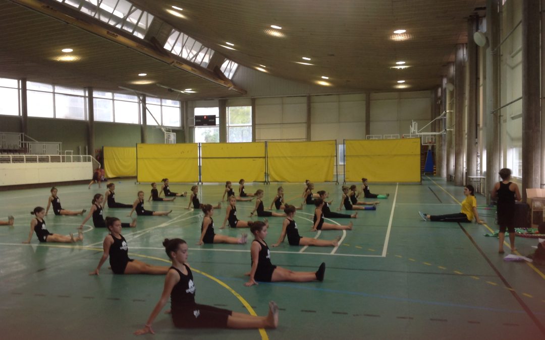 ENTRENAMENTS DE COMPETICIÓ