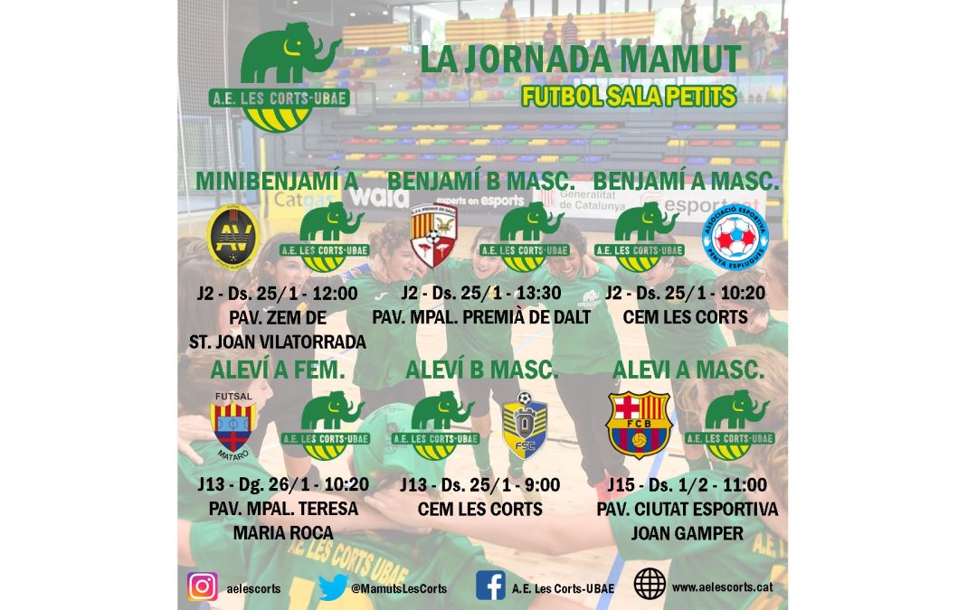 La prèvia de la jornada mamut de futbol sala