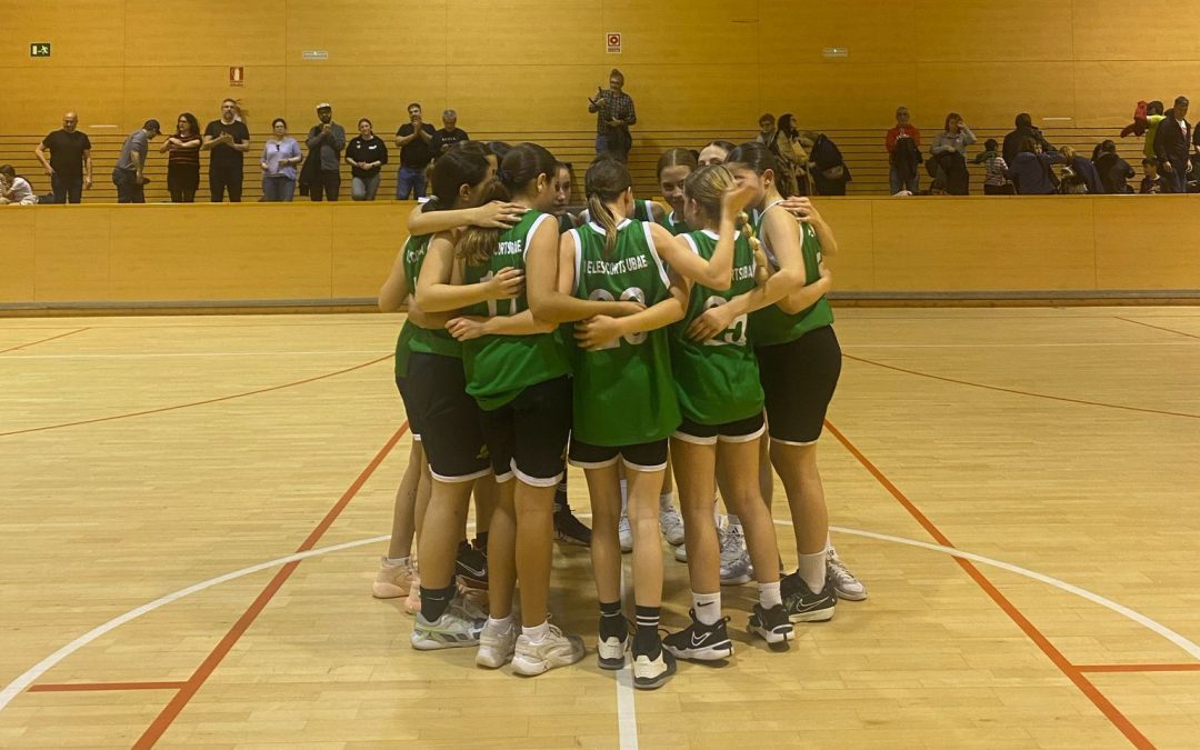 Un nou post de la jornada del bàsquet mamut