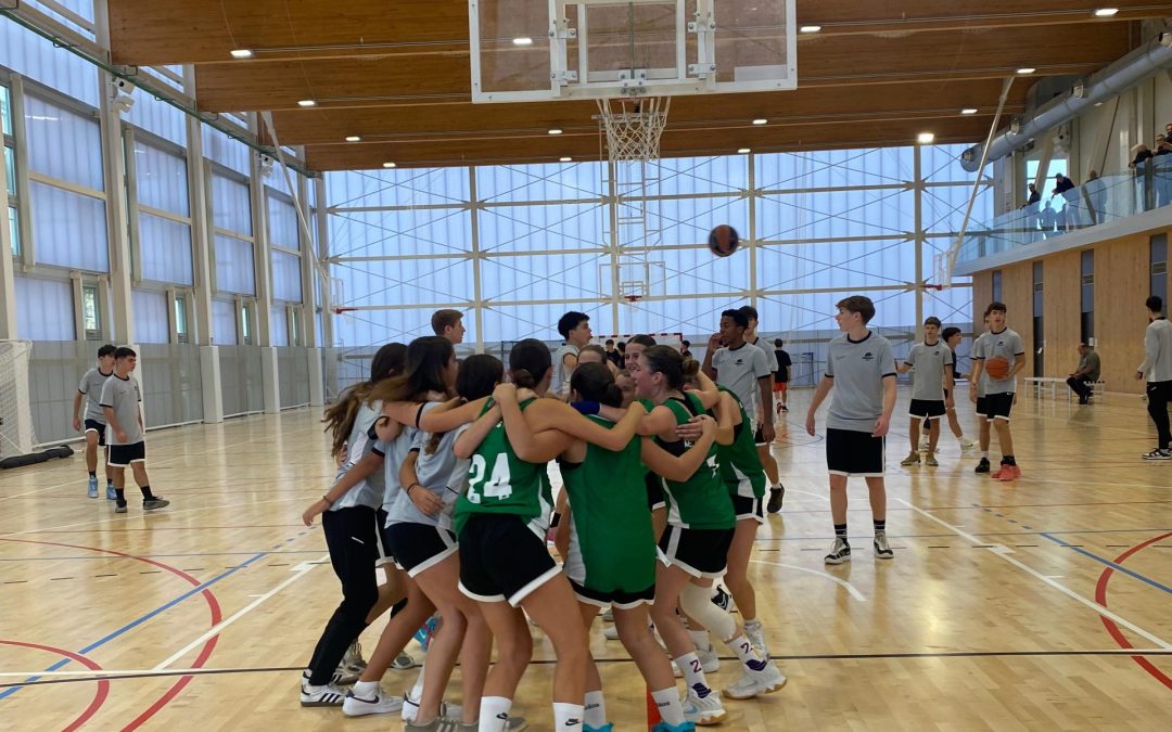 Els resultats i les cròniques dels entrenadors del bàsquet mamut