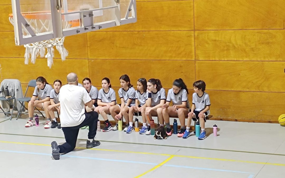 Resultats i cròniques del bàsquet mamut