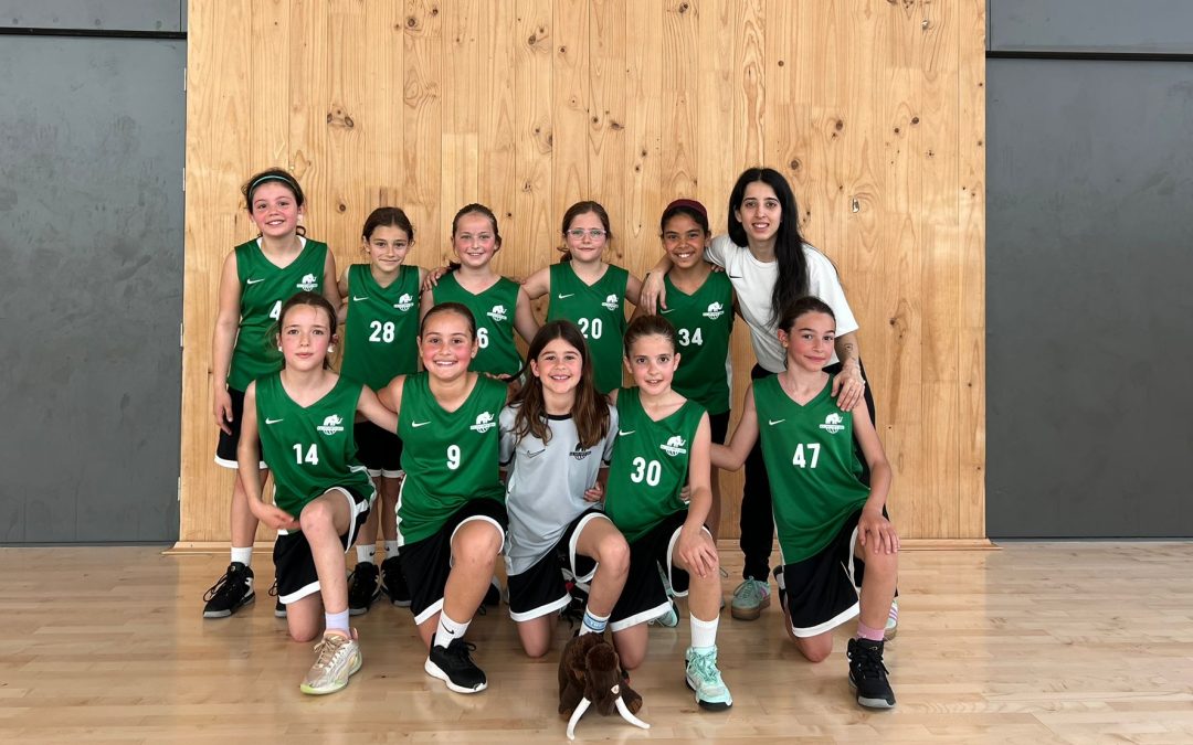Jornada amb un bon grapat de victòries pel bàsquet mamut